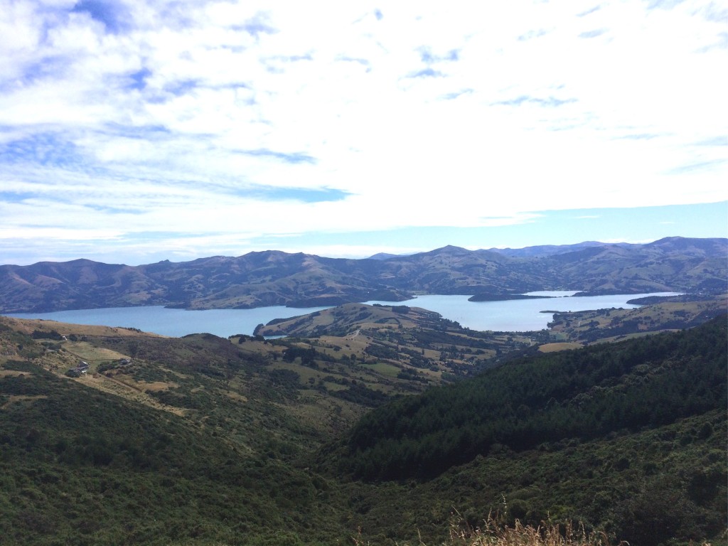 2016-02-20 Hinewai Reserve 01