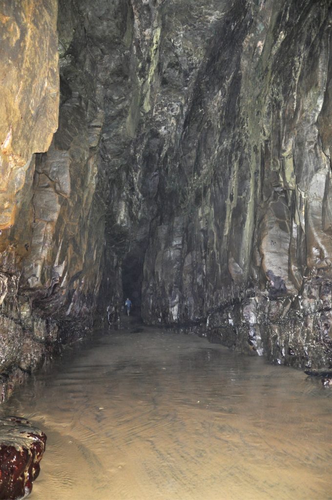 2016-03-25 Otago - Day 2 - Cathedral Caves 3