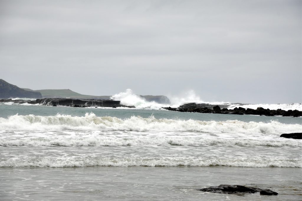 2016-03-25 Otago - Day 2 - Porpoise Bay 1