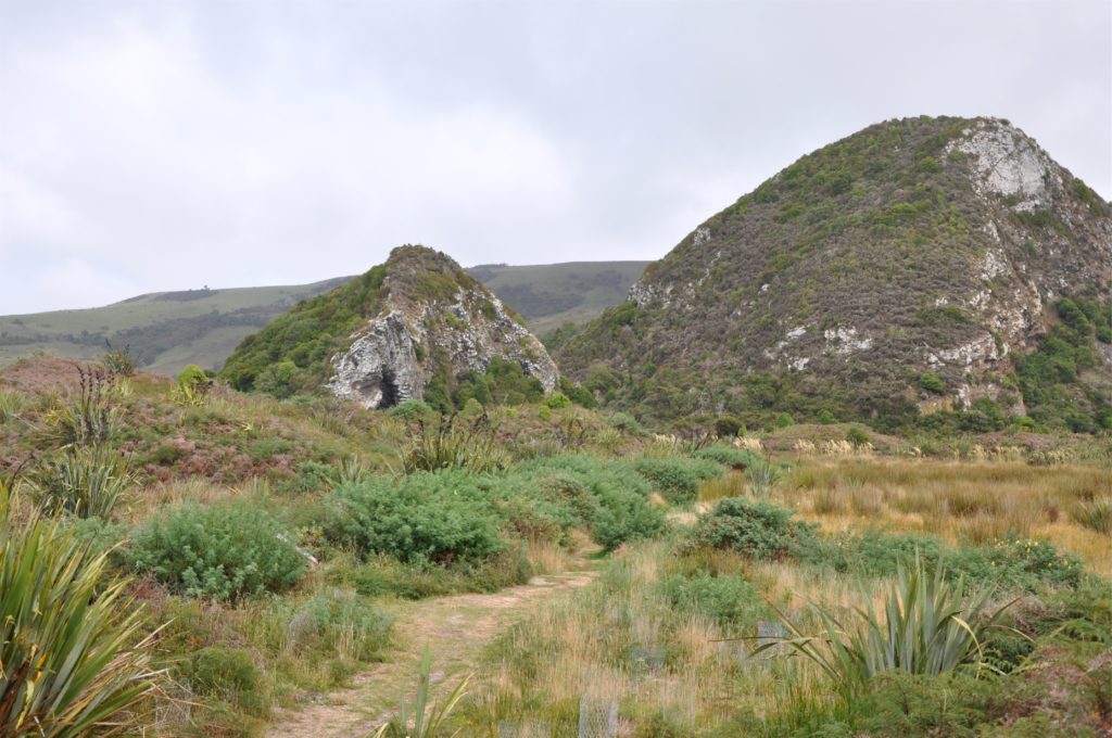 2016-03-25 Otago - Day 4 - Victory Beach 1