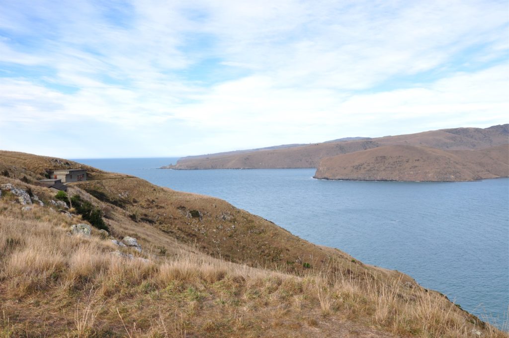 2016-05-14 Goodley Head 07