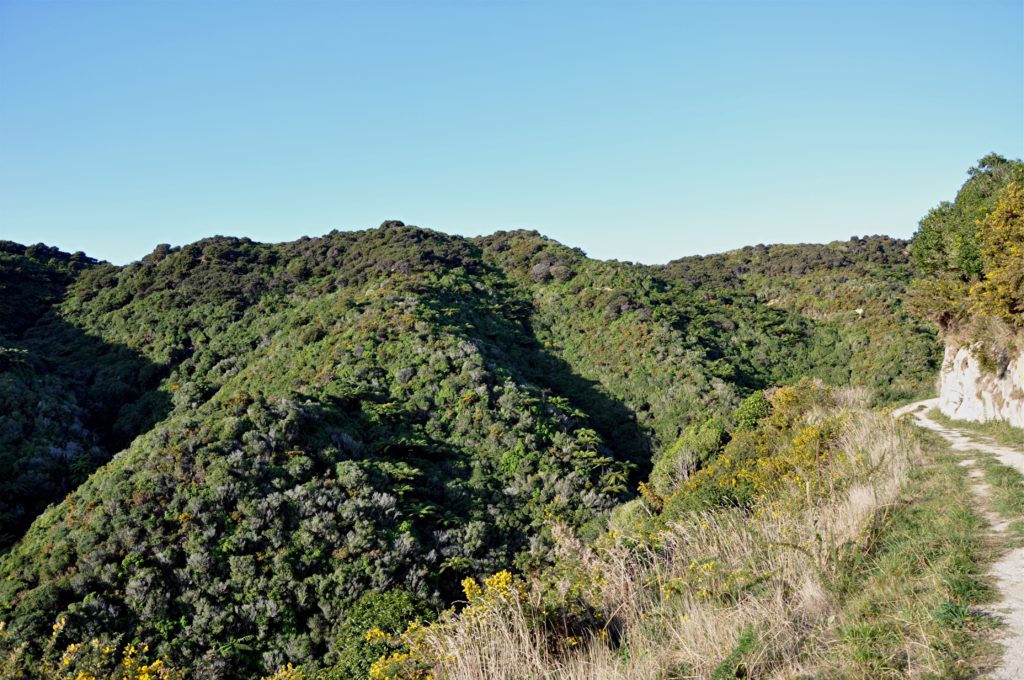 2016-06-05 Golden Bay - Abel Tasman Hike 01