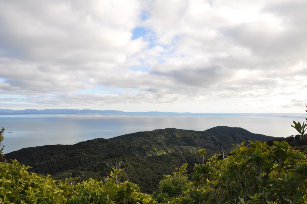 2016-06-05 Golden Bay - Abel Tasman Hike 02