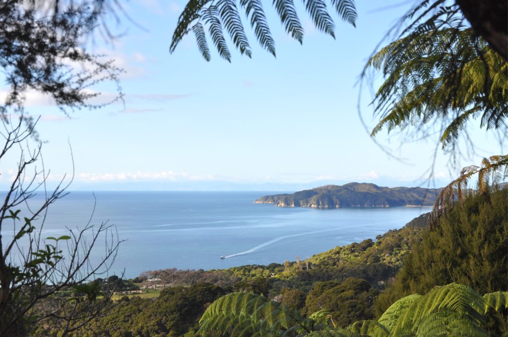 2016-06-05 Golden Bay - Abel Tasman Hike 04