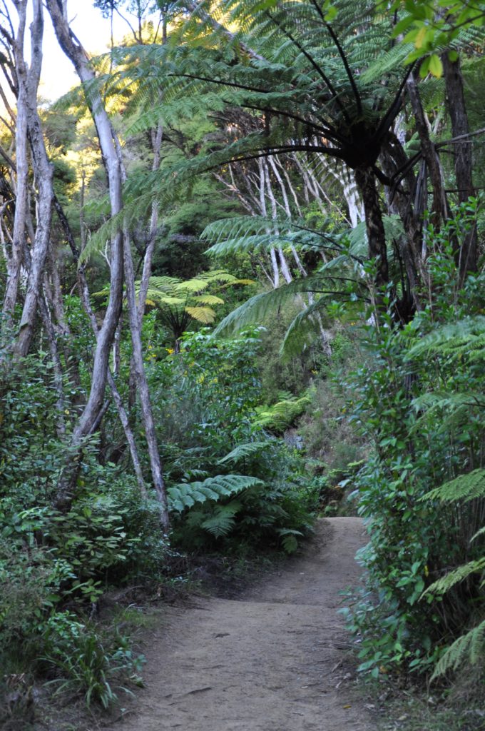 2016-06-05 Golden Bay - Abel Tasman Hike 07