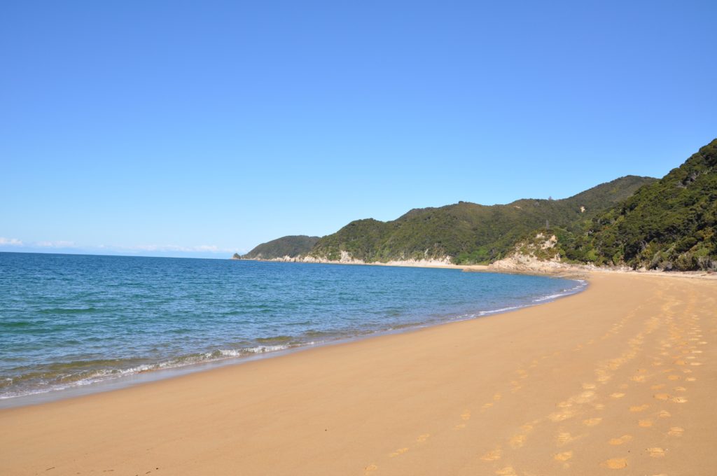 2016-06-05 Golden Bay - Abel Tasman Hike 09