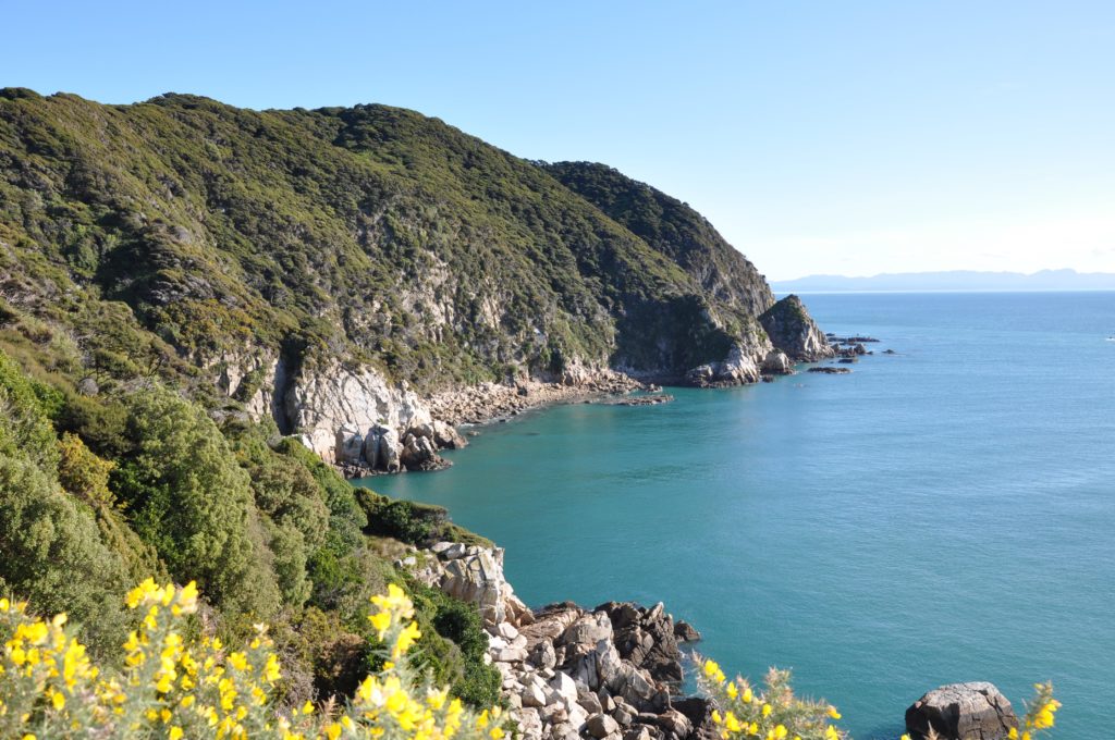 2016-06-05 Golden Bay - Abel Tasman Hike 11