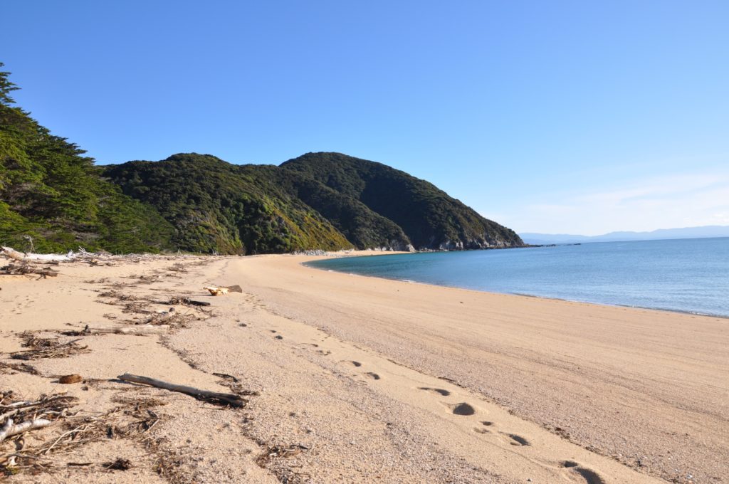 2016-06-05 Golden Bay - Abel Tasman Hike 15