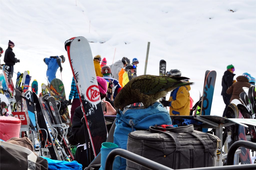 2016-08-14 Treble Cone - Cardrona 02